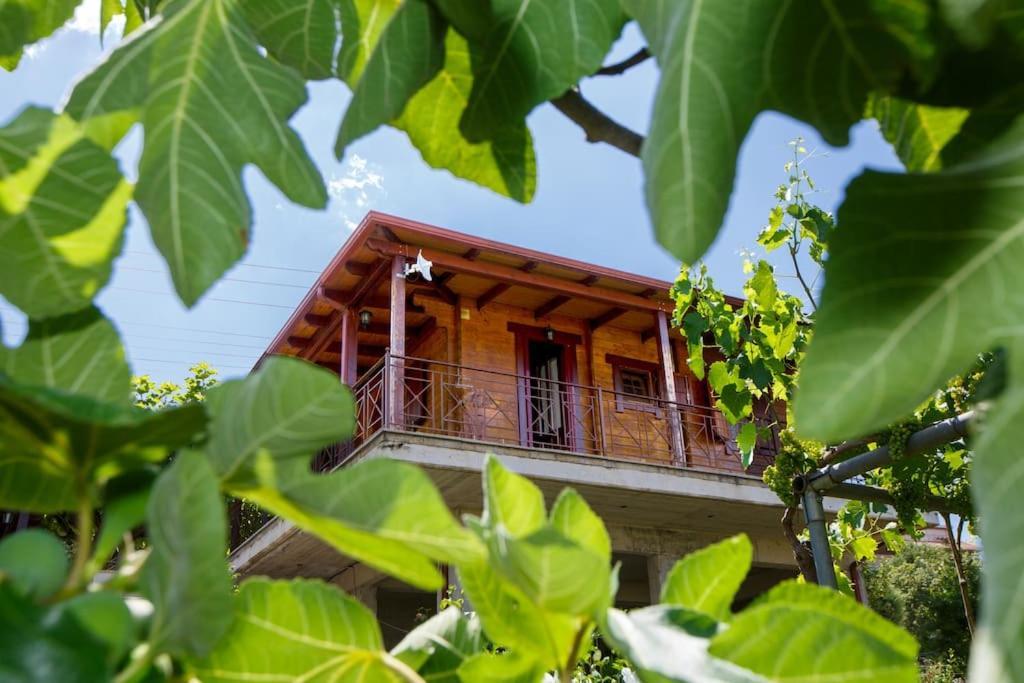 Wooden House In Ioannina Apartment Luaran gambar
