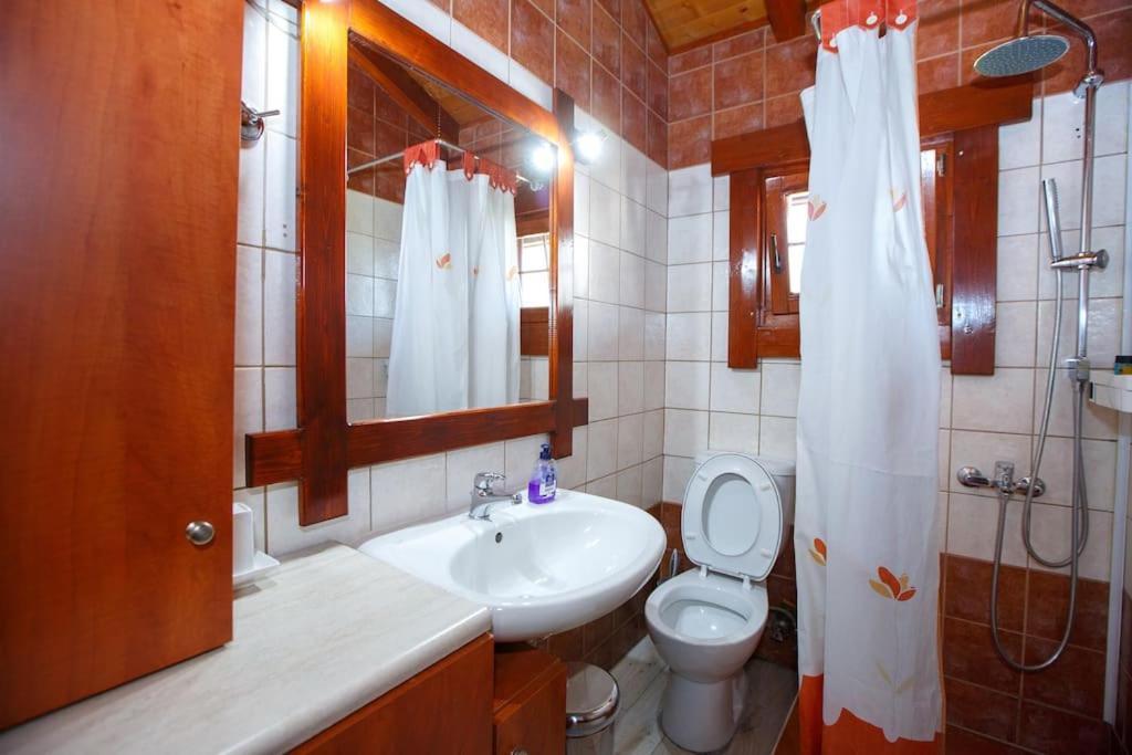 Wooden House In Ioannina Apartment Luaran gambar