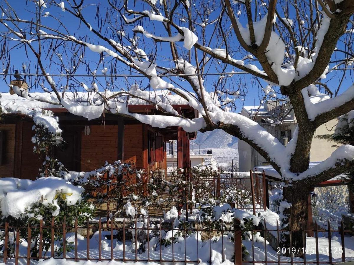 Wooden House In Ioannina Apartment Luaran gambar
